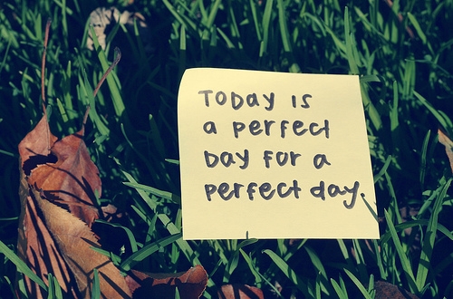 perfectday